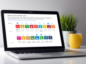 SDG assessment tool