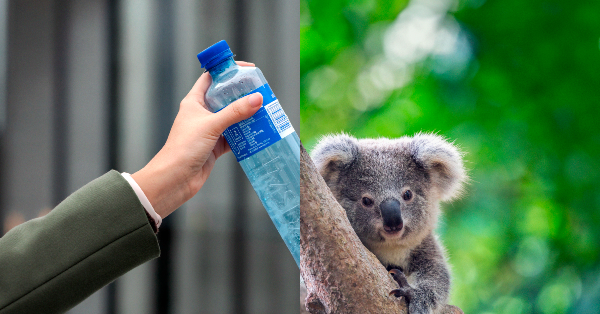 En godt kjent panteløsning i nord er nå lansert 